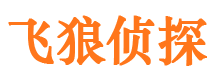 大新婚外情调查取证